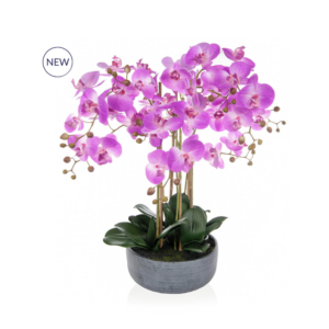 Hot Pink orchid in grey planter